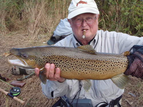 Fly fishing outfitter for over forty years
Guiding, sales of quality gear.