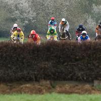 Midlands Pointing (@midlandsptp) 's Twitter Profile