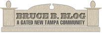 BruceBBlog's profile picture. All things New Tampa