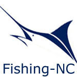 The home for North Carolina saltwater fishing. Surf or pier, inshore or offshore, all the info you need to find the fish and have more fun on the coast.