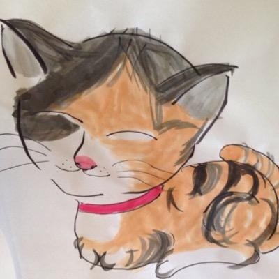 siziasa's profile picture. 