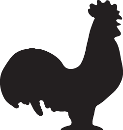 marigoldmadison's profile picture. Fun, fresh and innovative breakfast, lunch and catering. Open 7 days a week in downtown Madison, WI