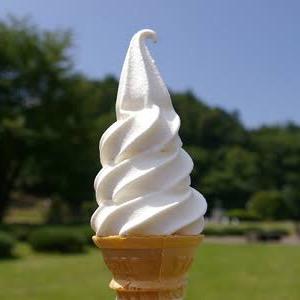 美味しいソフトクリームを紹介します🍦スープカレーもよく食べます🍴