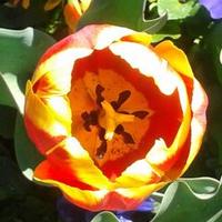 Cathy Ward (@wardcathyward73) 's Twitter Profile Photo Cathy Ward (@wardcathyward73) 's Twitter Profile Photo
