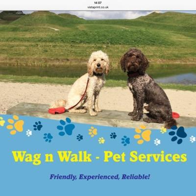 WagWalk1's profile picture. Dog Walking, Pet Sitting and Pet Taxi. Please DM for more information on our friendly and professional service!