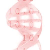 UNL BCRF (@unl_bcrf) 's Twitter Profile