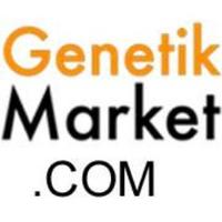Genetik Market(@market_genetik) 's Twitter Profile Photo