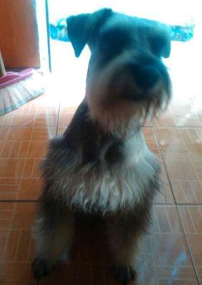 EmirHernandez9's profile picture. 