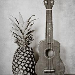 EHSUkulele's profile picture. We are new @ElyriaHigh and were excited for this year! Come see what it's all about