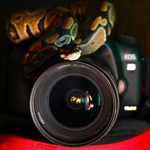 jeffzz111's profile picture. Follow.. and I'll lead you nowhere..