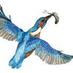 Kingfisher Education (@kingfisher_edu) Twitter profile photo Kingfisher Education (@kingfisher_edu) Twitter profile photo