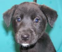 jimmyu72's profile picture. 