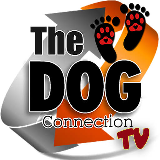 Live Shows enlightening Humans about the value of their Dogs and how to learn from them. Facebook: https://t.co/pVeVQfXBQ7