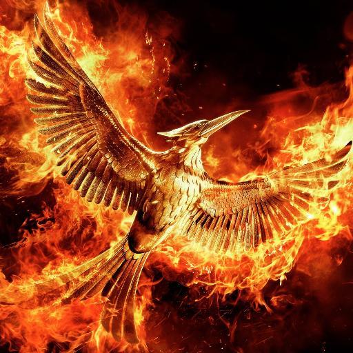 🌋♒️ 90% pessimismo cosmico e 10% alcol.
I’m nobody, Who r u? 💀,
When dragons flew to war, everything burned. 🖤🐉💚,
In this life or The Next 🥷🏻⚔️