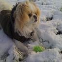 Dan Batchelor - @iPartridge86 - Twitter