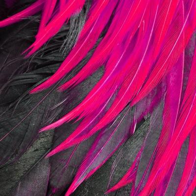 ihaveproblems21's profile picture. I have problems