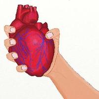 Giulia Ottaviani, MD (@ottavianimdphd) 's Twitter Profile