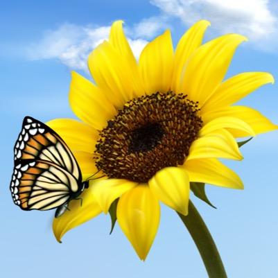 tracybly5's profile picture. 