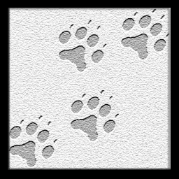 4pawkids's profile picture. 