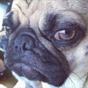 edhardy - @VinceVicente05 - Twitter