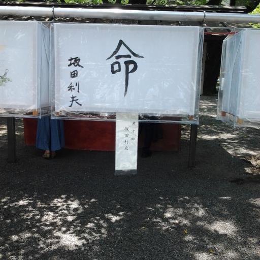 nagoya052468's profile picture. 同じことを繰り返しながら違う結果を望むこと、それを狂気という　-　アインシュタイン　-