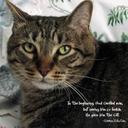 Steve McCandless - @sailani1 - Twitter