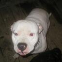 Carl Taite - @ctaite31 - Twitter