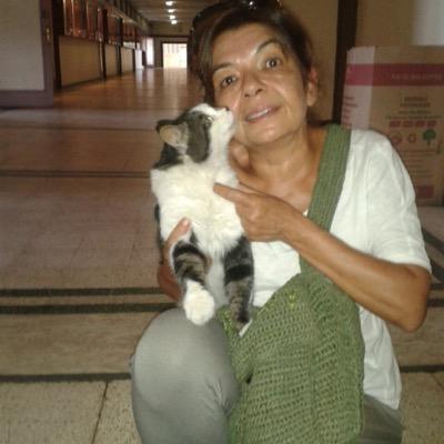 Seda54168543's profile picture. 