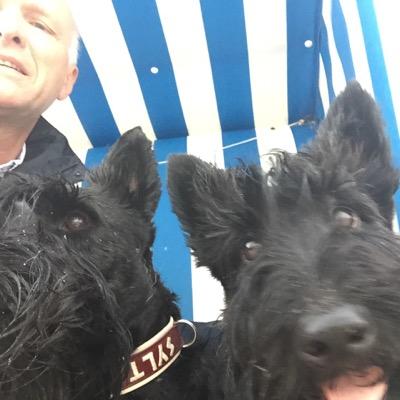 Rechtsanwalt (lawyer), Notar (notary public), Ich twittere privat über Recht, Scottish Terrier, Bad Oeynhausen usw.
