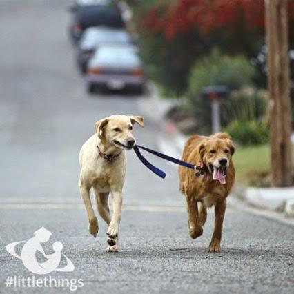 magotey6783's profile picture. Financial Market Wizard.