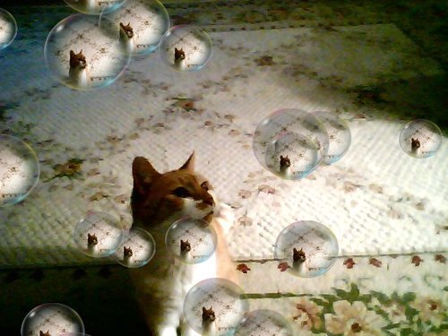 Draspill's profile picture. 