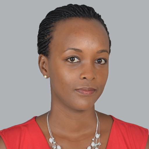 Electrical Engr./MBA Graduate / Project Manager