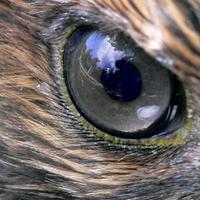David A Roberts (@david_ar) 's Twitter Profile
