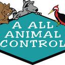 Lauren Wisdom - @AAllAnimalCntrl - Twitter