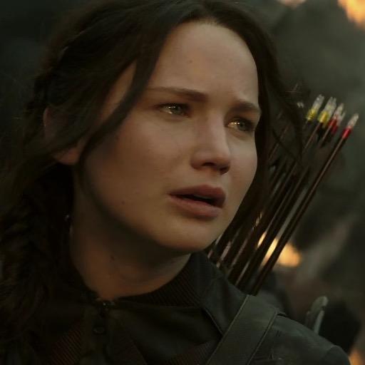 Appreciating the cinematography in The Hunger Games series. Cinematographers: Tom Stern & Jo Willems.