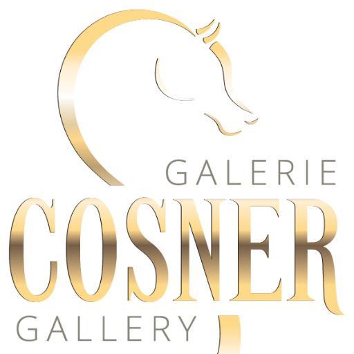 GalerieCosner Profile Picture