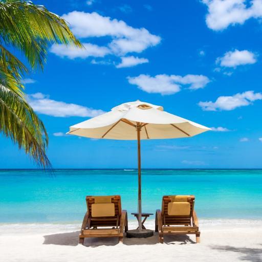 Charterferier's profile picture. Charterferier