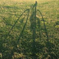lee barwell (@furiouslee1) 's Twitter Profile