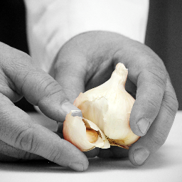 buster_spitfire's profile picture. chef instigateur