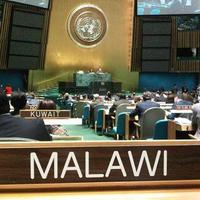 Malawi UnitedNations(@MalawiUN) 's Twitter Profileg