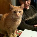 Alan Cummins - @GarageJunk - Twitter