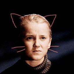 alinasabirova39's profile picture. AC⚡DC
Supernatural
Harry Potter✨
TeenWolf