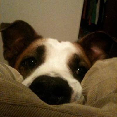 Amasoni's profile picture. 