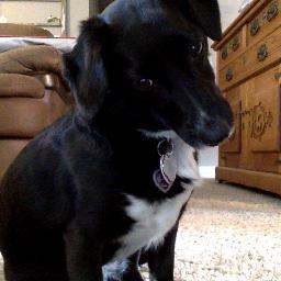 CHSmrsmchenry's profile picture. 