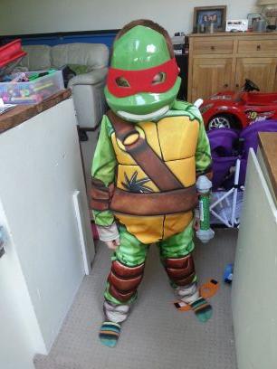 turty72 Profile Picture