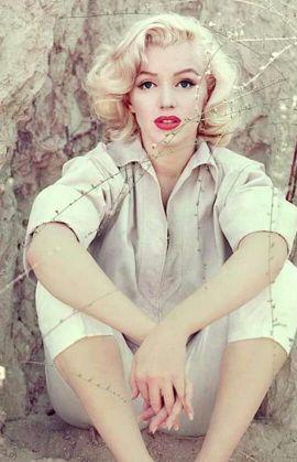 Qeengay's profile picture. Mas Vale quemado que mal disfrutado