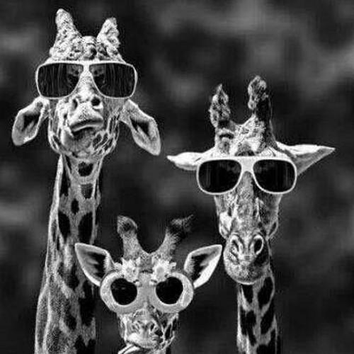 Anglin25Jackie's profile picture. 