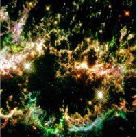 Phytoplasma (@phytoplasma) 's Twitter Profile