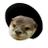 _kawauso96's profile image