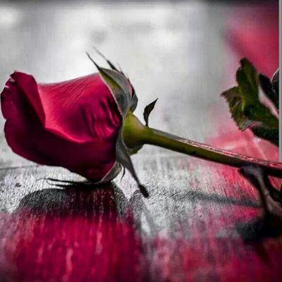 aaj_8008's profile picture. ‏‏‏‏آلُــ‘ــُرآقُــ‘ْــُيُــ‘ــُېٍِ..₰ﮩ₰ﮩ๘
،،راااقي وذوووقه راااقي لك غلاي وكل أشواااقي،،